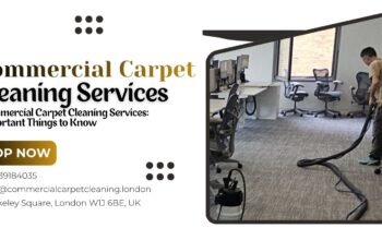 Commercial Carpet Cleaning Services: important Things to Know